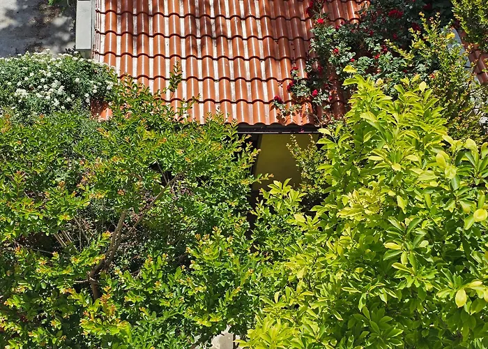 Cozy Place - в центъра, само на 5 минути пеша от плажа 公寓 布尔加斯