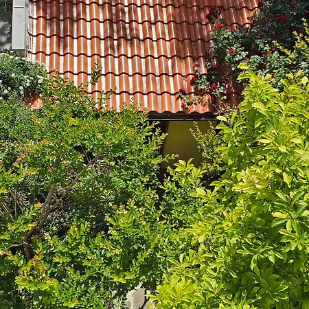 Cozy Place - в центъра, само на 5 минути пеша от плажа شقة بورغاس